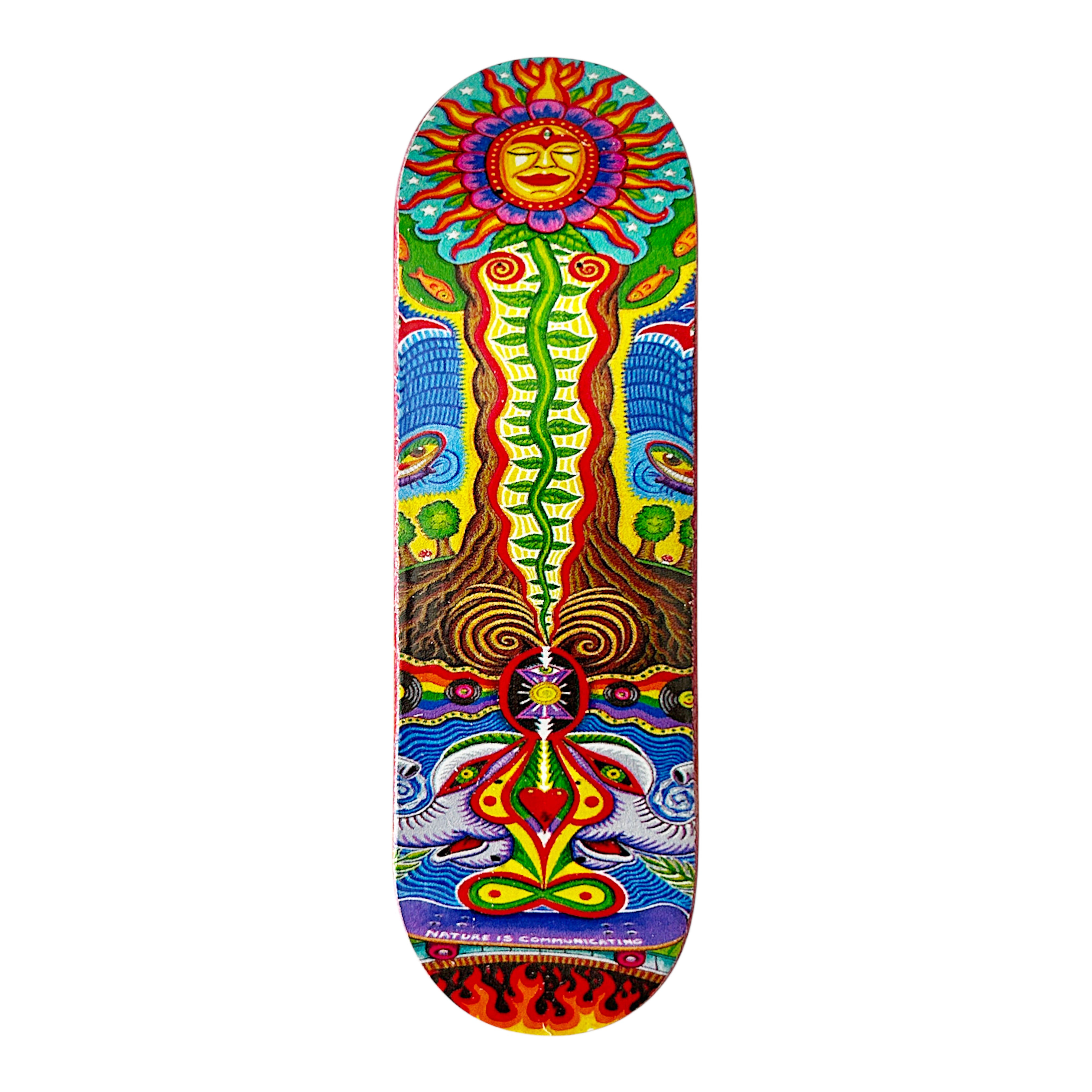 FlatFace G15.12 Deck - 29mm - Nature is Communicating - Real Wear